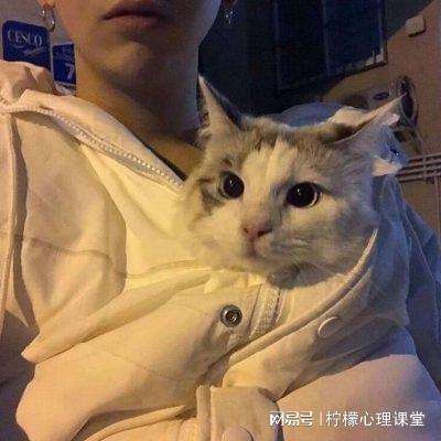 pceemu模拟器下载